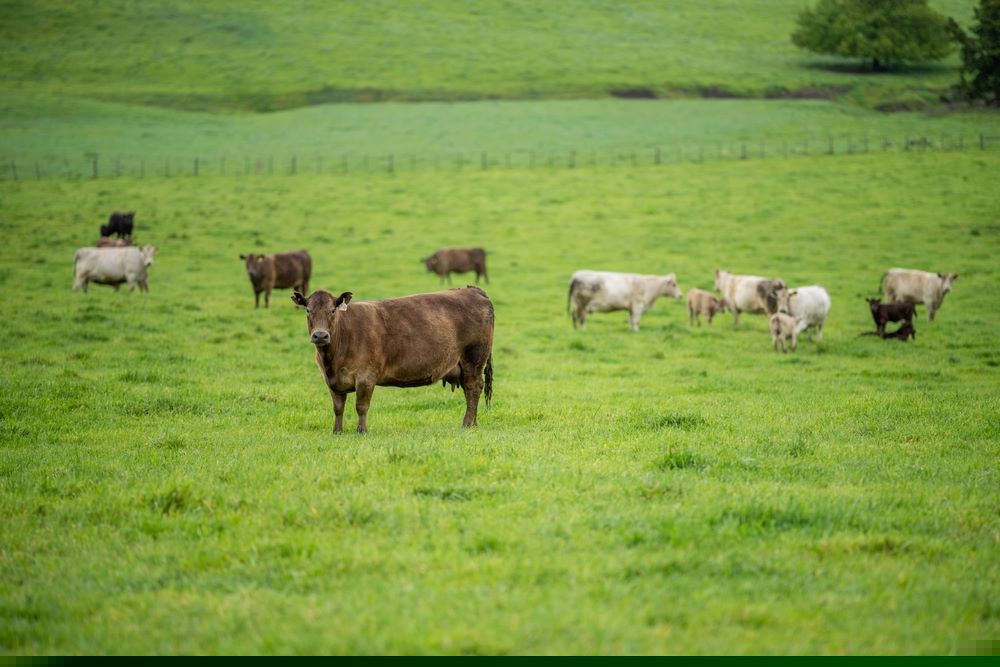 Free range farming